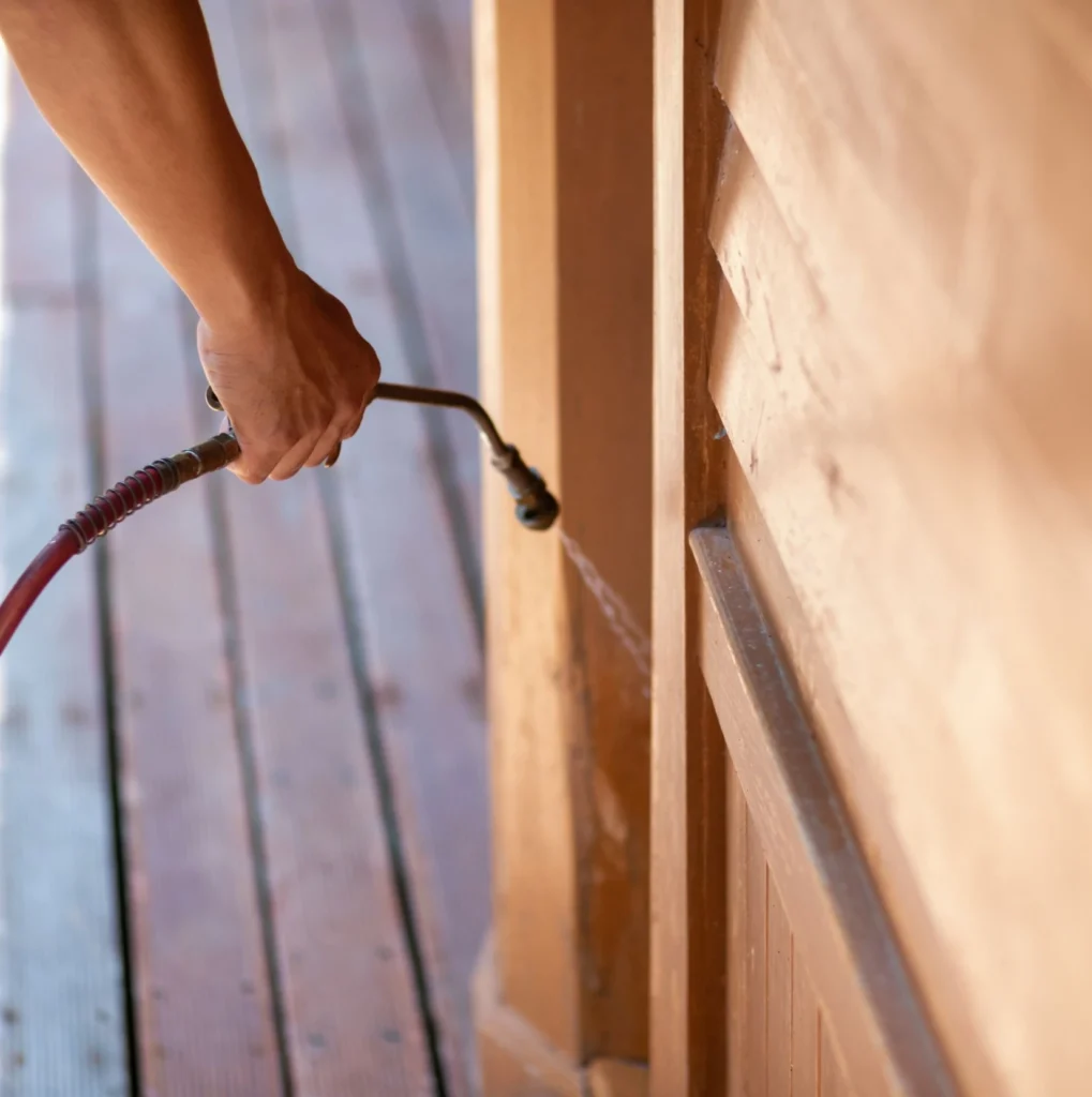 Trusted Pest Control - Clay Pest Control Pros | Clay, NY | 315-996-3911